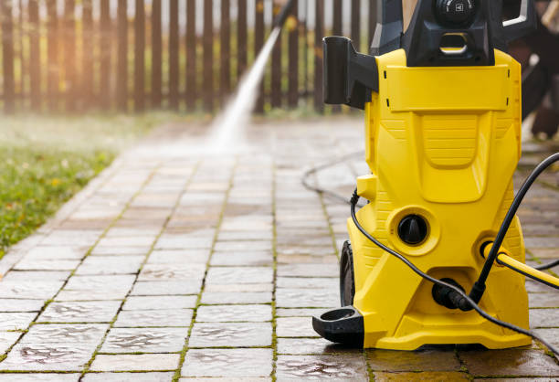 Animal Enclosure Cleaning in Dearborn Heights, MI